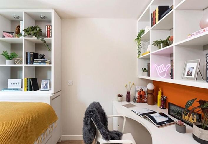 Student Only Premium Ensuite At Drapery Place * Londres